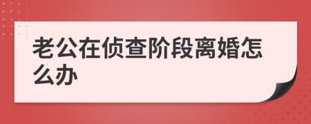老公在侦查阶段离婚怎么办
