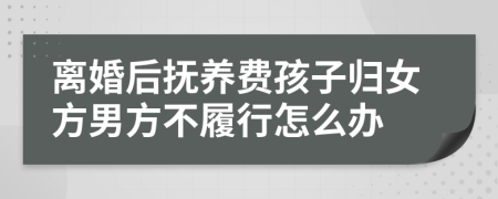 离婚后抚养费孩子归女方男方不履行怎么办