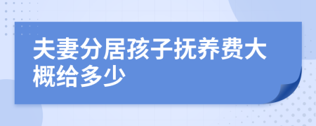 夫妻分居孩子抚养费大概给多少