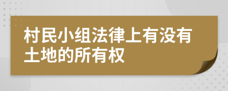 村民小组法律上有没有土地的所有权