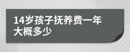 14岁孩子抚养费一年大概多少