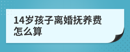 14岁孩子离婚抚养费怎么算