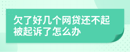 欠了好几个网贷还不起被起诉了怎么办