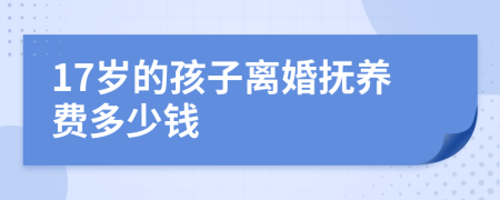 17岁的孩子离婚抚养费多少钱