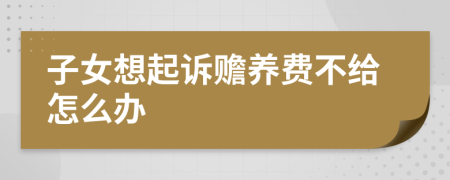 子女想起诉赡养费不给怎么办