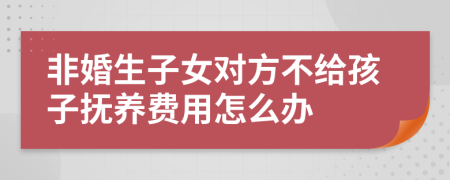 非婚生子女对方不给孩子抚养费用怎么办