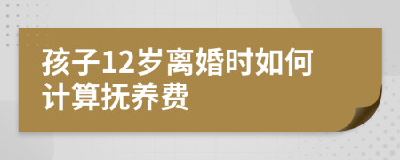 孩子12岁离婚时如何计算抚养费