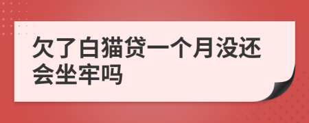欠了白猫贷一个月没还会坐牢吗