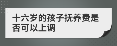 十六岁的孩子抚养费是否可以上调