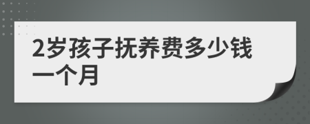 2岁孩子抚养费多少钱一个月