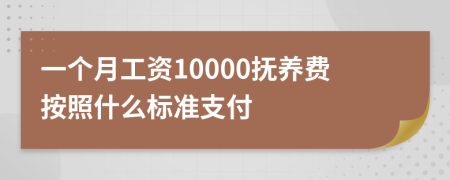 一个月工资10000抚养费按照什么标准支付