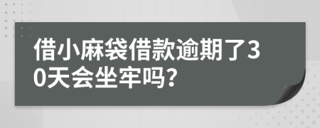 借小麻袋借款逾期了30天会坐牢吗？