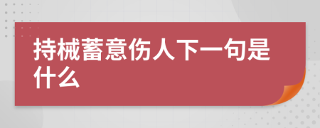 持械蓄意伤人下一句是什么