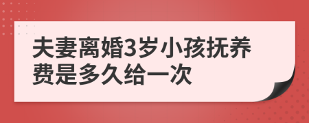 夫妻离婚3岁小孩抚养费是多久给一次