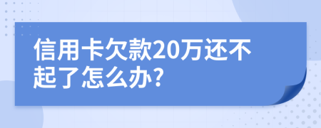 信用卡欠款20万还不起了怎么办?