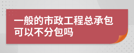 一般的市政工程总承包可以不分包吗