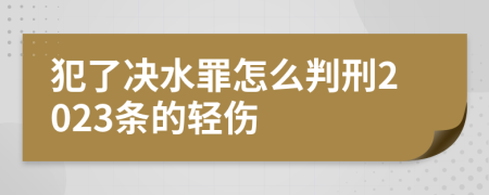 犯了决水罪怎么判刑2023条的轻伤