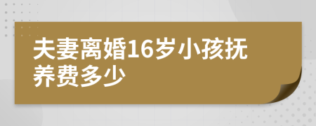 夫妻离婚16岁小孩抚养费多少