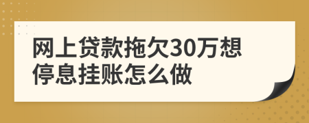 网上贷款拖欠30万想停息挂账怎么做