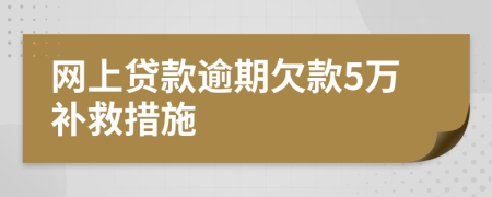 网上贷款逾期欠款5万补救措施