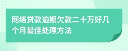 网络贷款逾期欠款二十万好几个月最佳处理方法