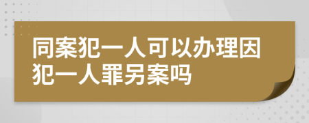 同案犯一人可以办理因犯一人罪另案吗