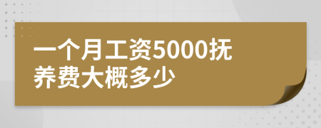 一个月工资5000抚养费大概多少