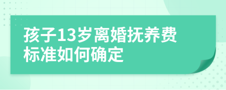 孩子13岁离婚抚养费标准如何确定