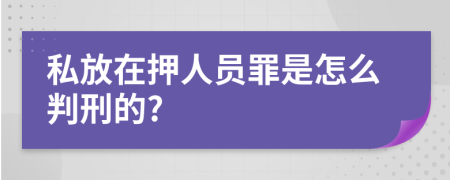 私放在押人员罪是怎么判刑的?