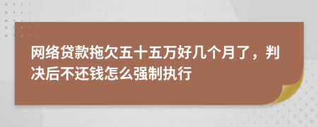 网络贷款拖欠五十五万好几个月了，判决后不还钱怎么强制执行