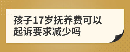 孩子17岁抚养费可以起诉要求减少吗