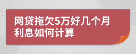 网贷拖欠5万好几个月利息如何计算