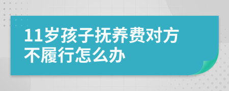 11岁孩子抚养费对方不履行怎么办