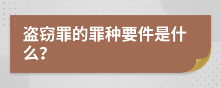 盗窃罪的罪种要件是什么？