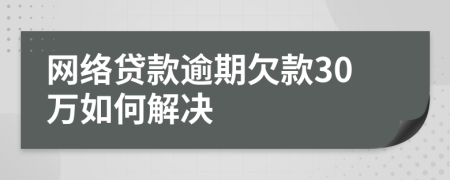 网络贷款逾期欠款30万如何解决