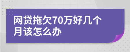 网贷拖欠70万好几个月该怎么办