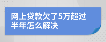 网上贷款欠了5万超过半年怎么解决
