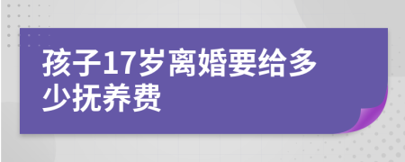 孩子17岁离婚要给多少抚养费