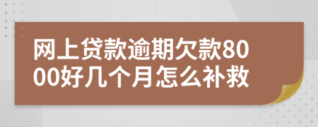 网上贷款逾期欠款8000好几个月怎么补救