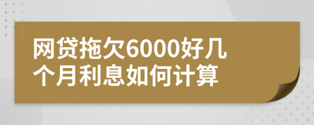 网贷拖欠6000好几个月利息如何计算