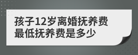 孩子12岁离婚抚养费最低抚养费是多少