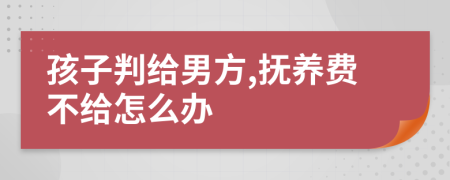 孩子判给男方,抚养费不给怎么办