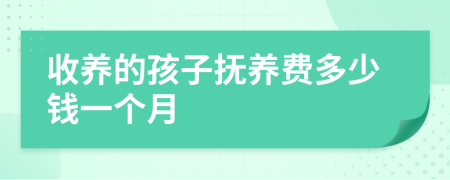 收养的孩子抚养费多少钱一个月