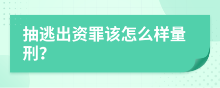 抽逃出资罪该怎么样量刑？