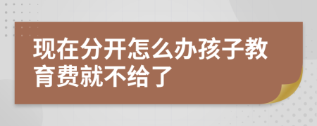 现在分开怎么办孩子教育费就不给了