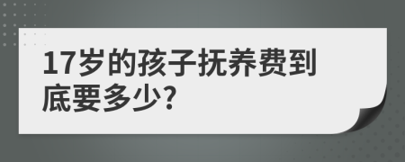 17岁的孩子抚养费到底要多少?