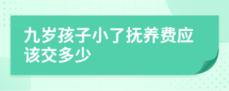 九岁孩子小了抚养费应该交多少