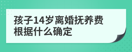 孩子14岁离婚抚养费根据什么确定