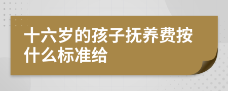 十六岁的孩子抚养费按什么标准给