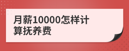 月薪10000怎样计算抚养费